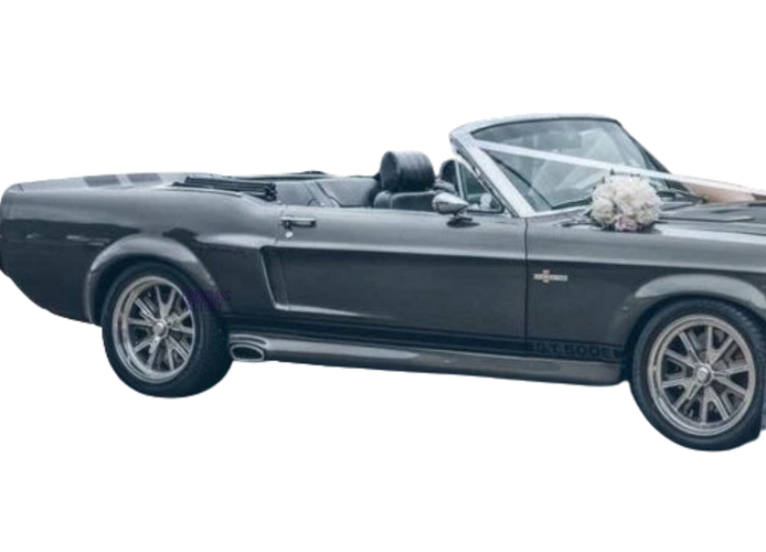 Mustang Eleanor Side Skirts Coupe & Fastback 1967 - 1969